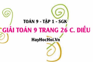 Giải Toán 9 trang 26 tập 1 Cánh Diều